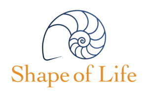 Shape of Life logo