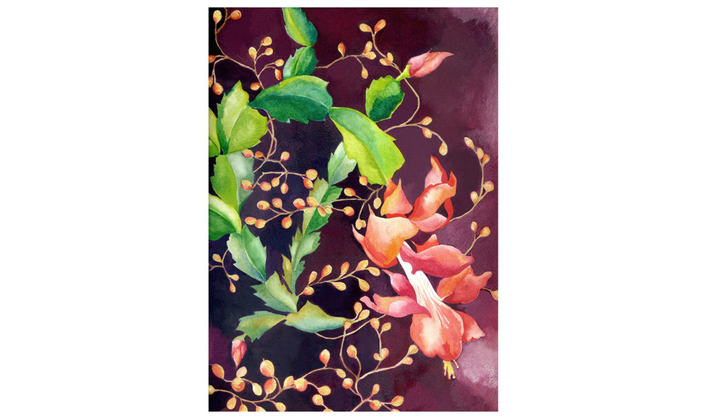 Watercolor painting of Christmas cactus