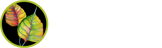 forest design