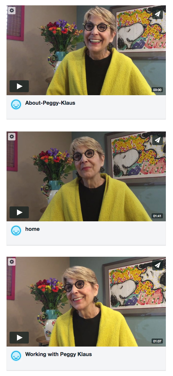 Executive coach and political consultant Peggy Klaus selected video screenshots