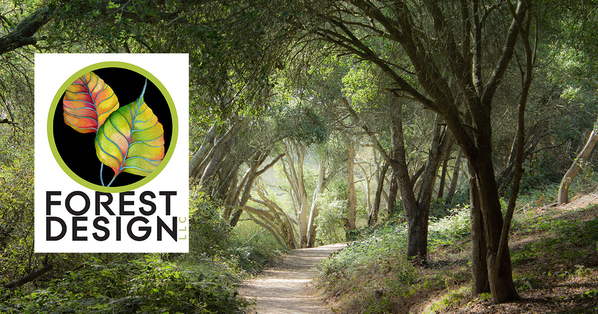 home forest design llc forrest designs